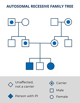 Family tree showing inheritance of an autosomal recessive condition.