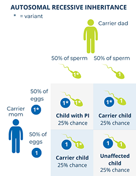 For autosomal recessive disorders, a child must inherit variants in both copies of a gene to be affected.