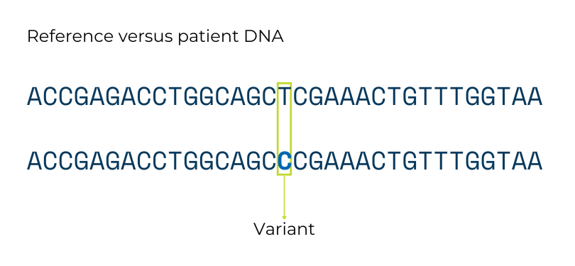 When patient DNA shows a difference in sequence relative to reference DNA, that difference is known as a variant.