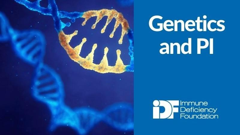 Genetics and the immune system | Immune Deficiency Foundation