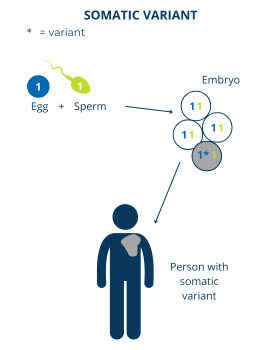 How a somatic variant happens.