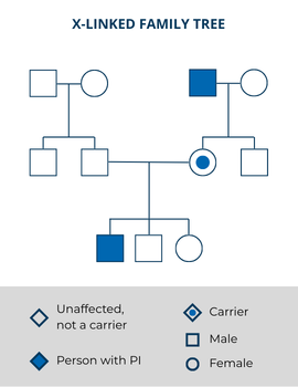 Family tree with an X-linked disorder.