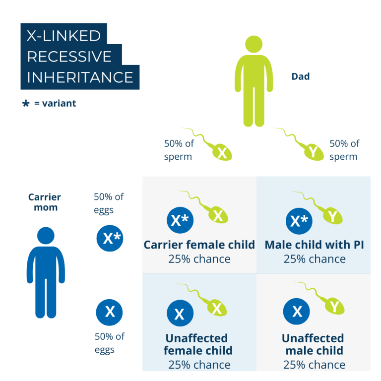 X-linked inheritance pattern graphic