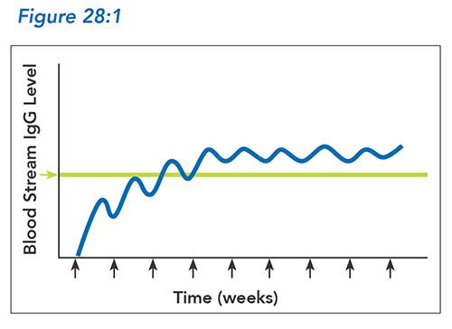 IgG levels for subcutaneous immunoglobulin (SCIG) therapy with weekly dosing.
