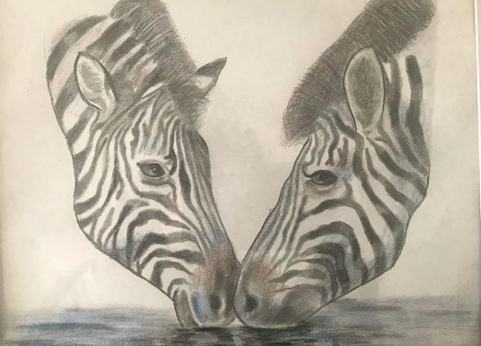 Victoria Medl's drawing of two zebras.