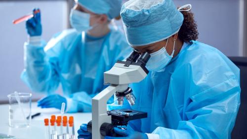 Researchers looking in microscope