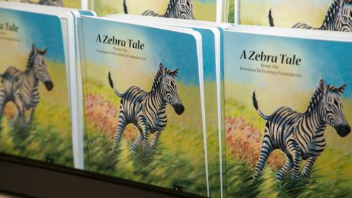 Close view of a display with A Zebra Tale books.
